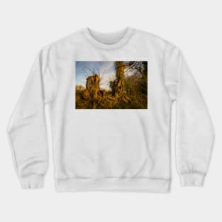 Crooked Forest - 2011 Crewneck Sweatshirt